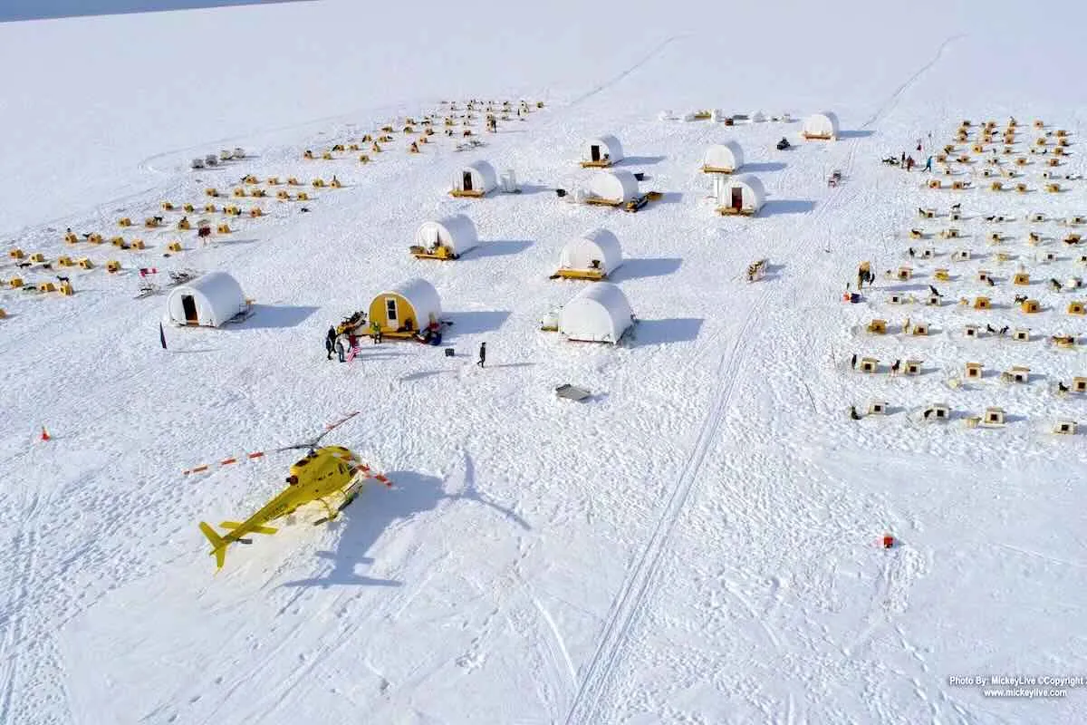 Musher and visitors with a husky team on the snow during a Juneau dogsledding on Herbert Glacier helicopter tour